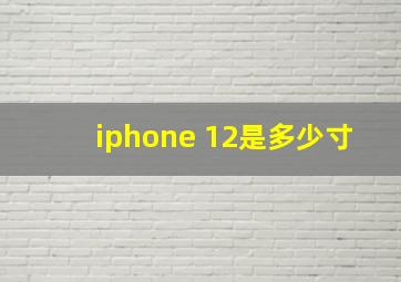 iphone 12是多少寸